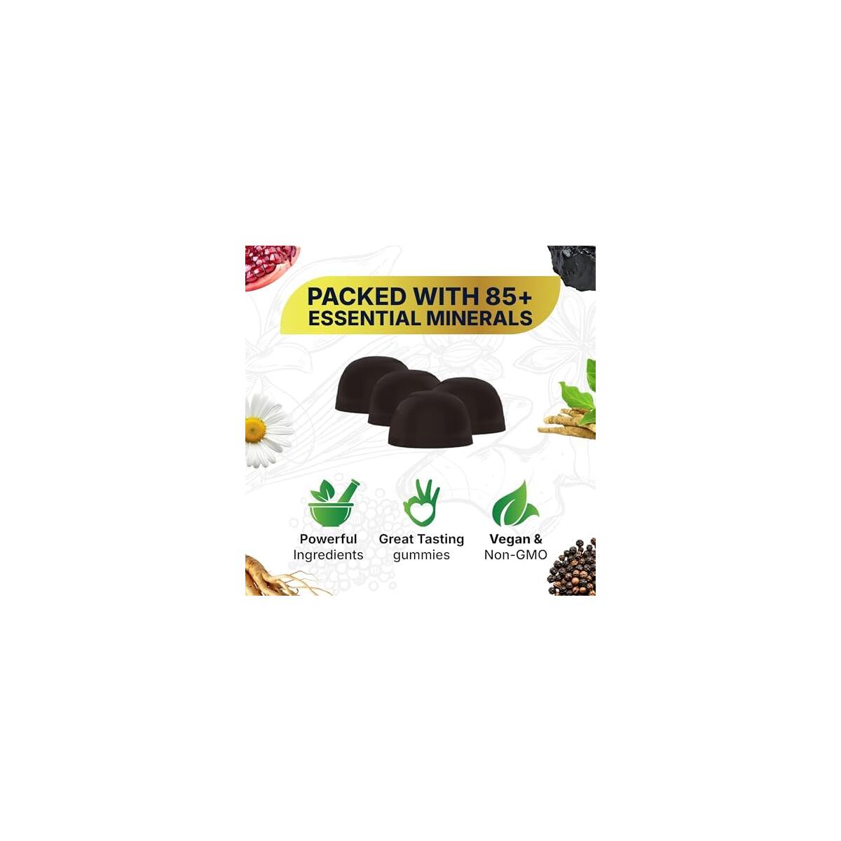 Himalayan Natural Shilajit Rebates - RebateKey