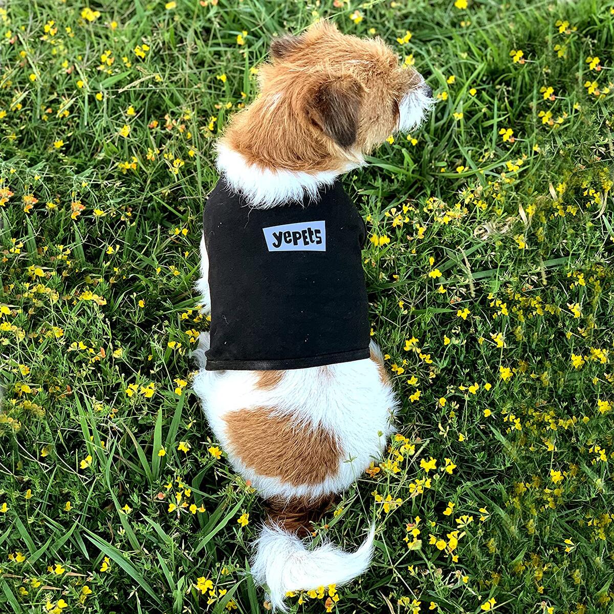 Dogs Anti Anxiety Rebates - RebateKey