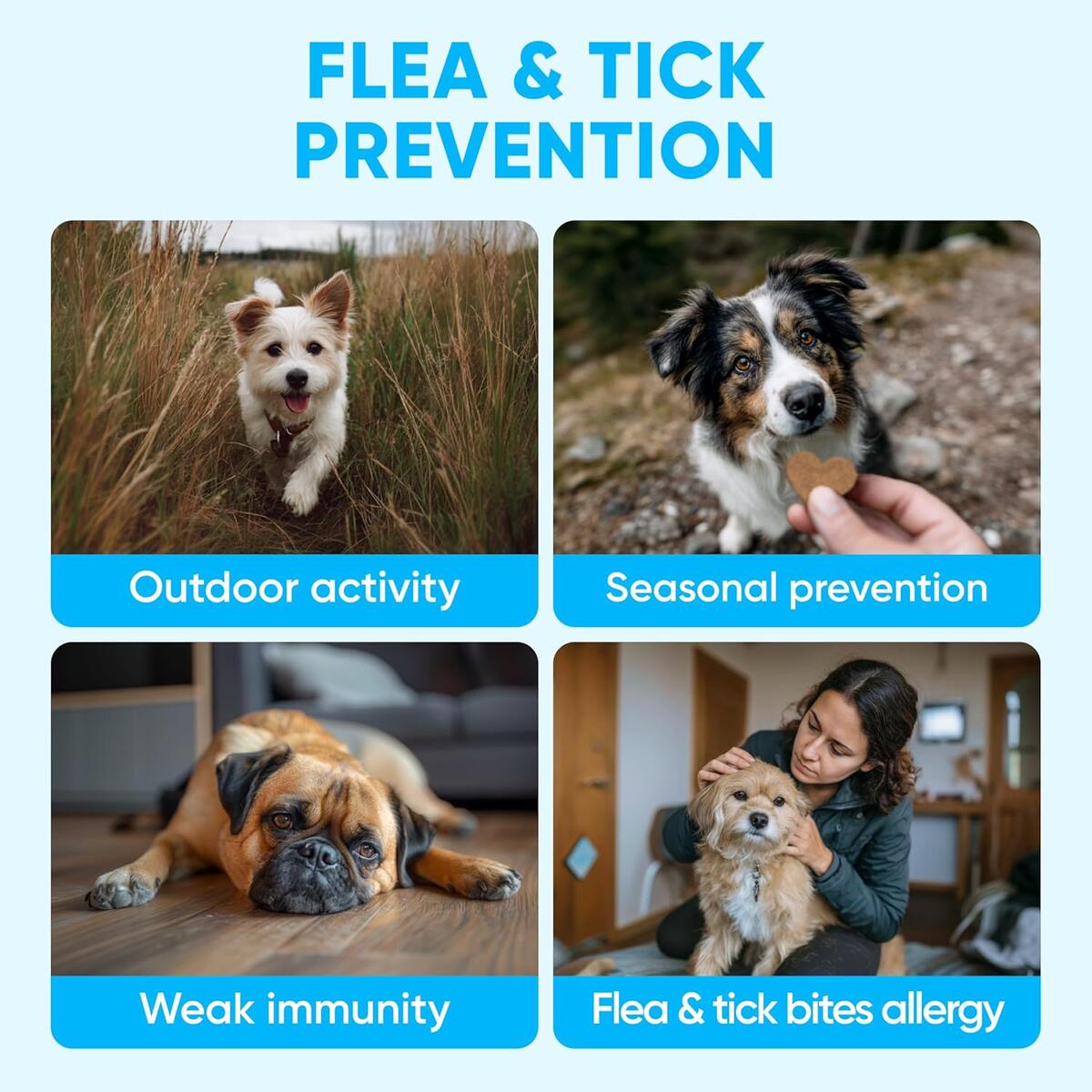 Flea And Tick Prevention For Dogs Chewable Rebates - RebateKey