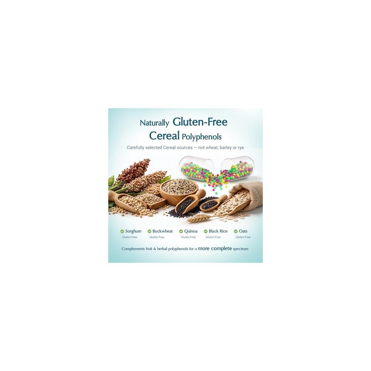 Polyphenols Cashback Rebate - RebateKey