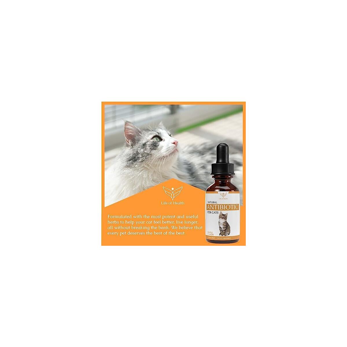 Natural Antibiotics For Cats 10 Cashback Rebate - RebateKey