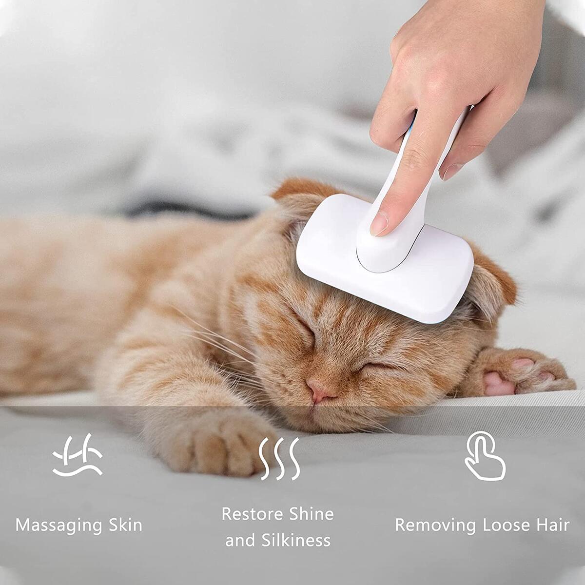 Cat Brush Cash Back - RebateKey
