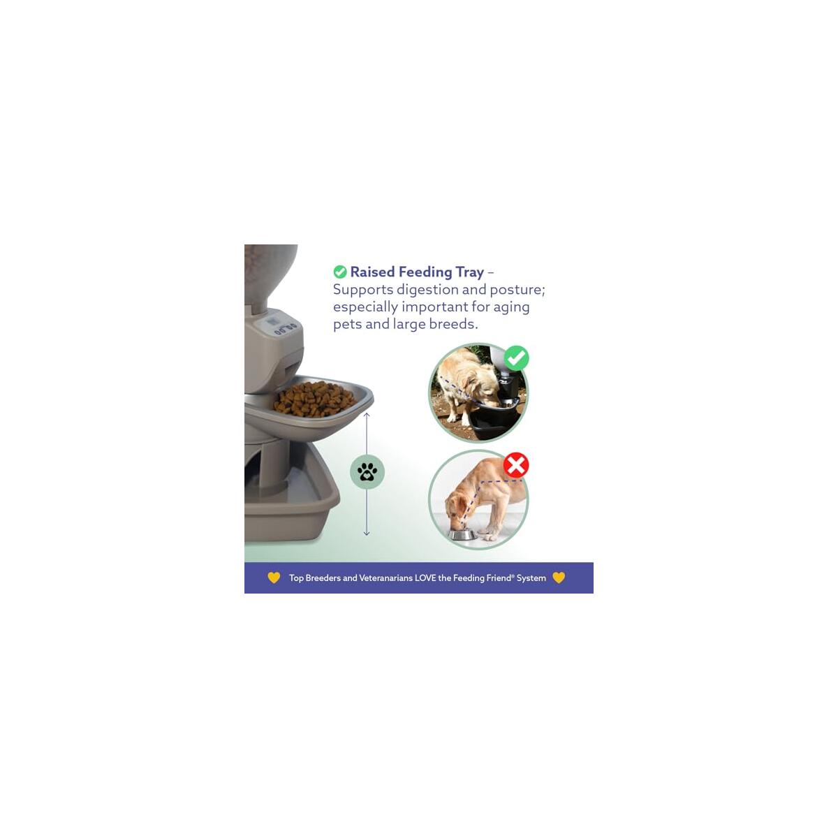 Food Feeder With Water Dispenser Rebate - RebateKey