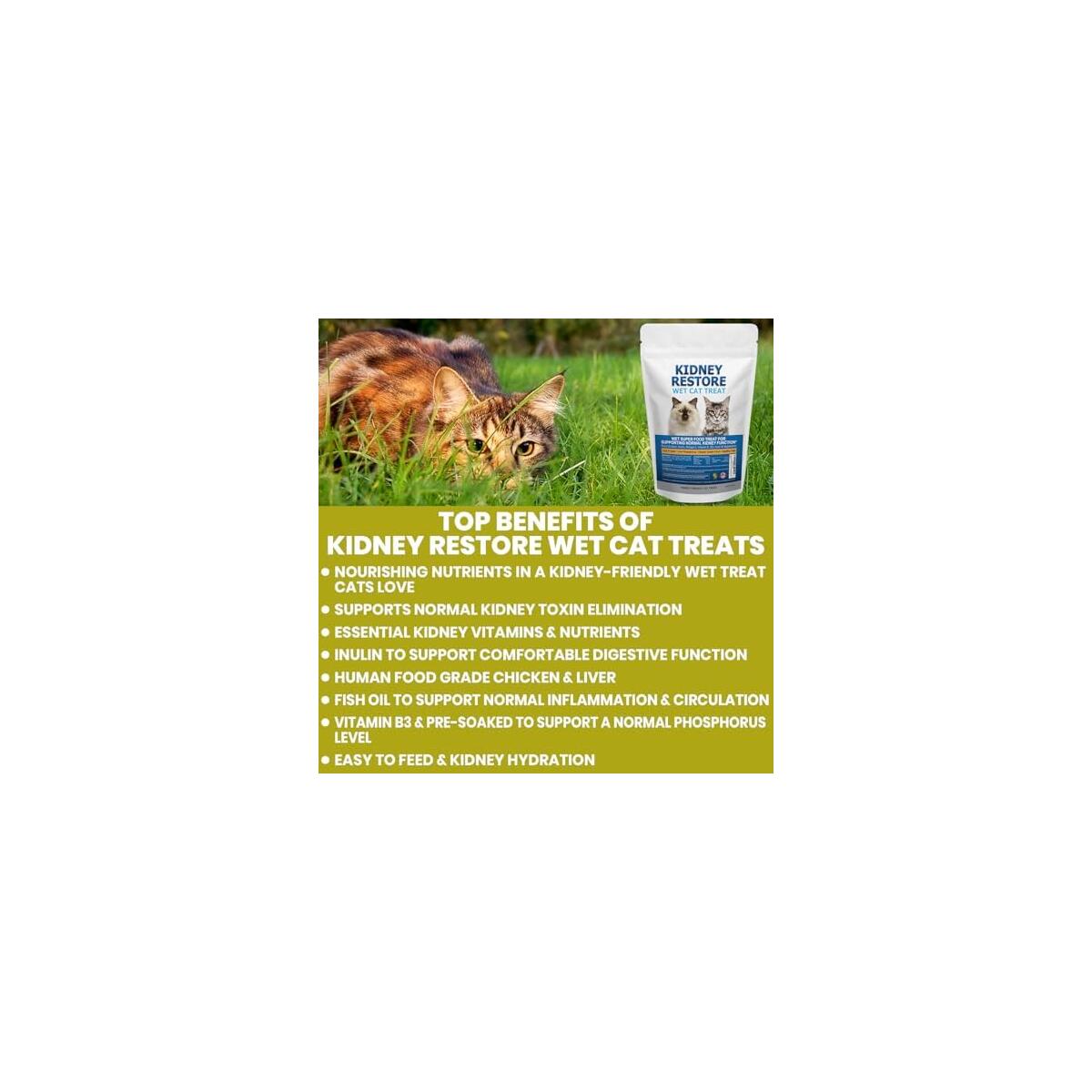 Fresh Made Kidney 1 Rebate - RebateKey