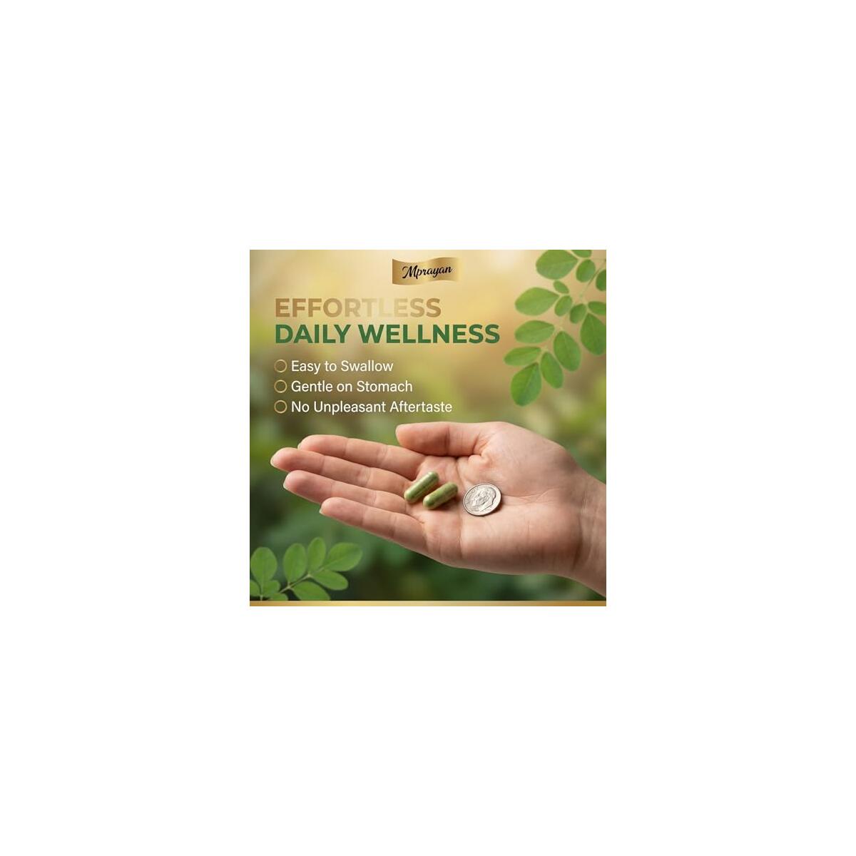 Moringa Capsules 800mg Cashback - RebateKey