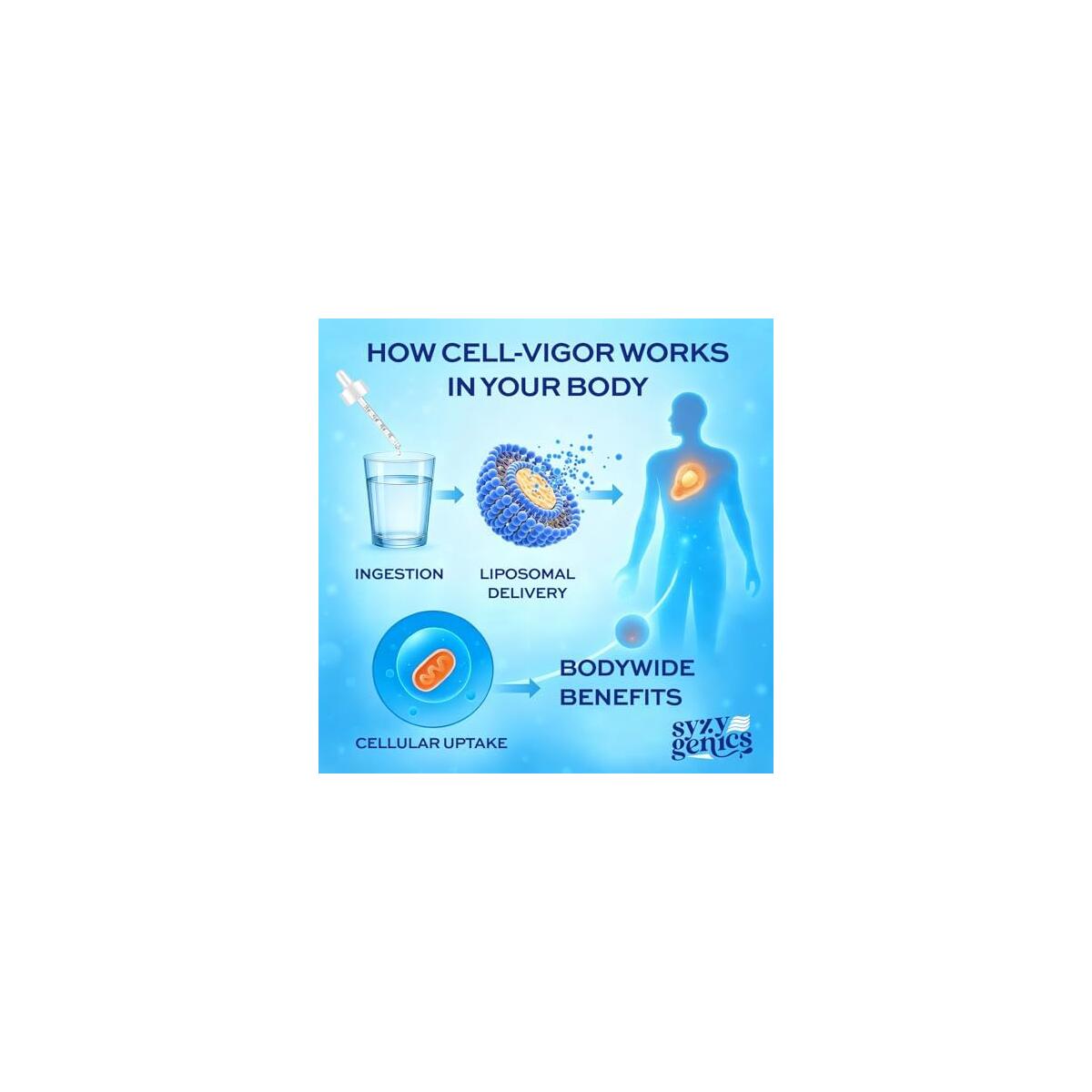 Liquid Oxygen 1 Cashback Rebates - RebateKey