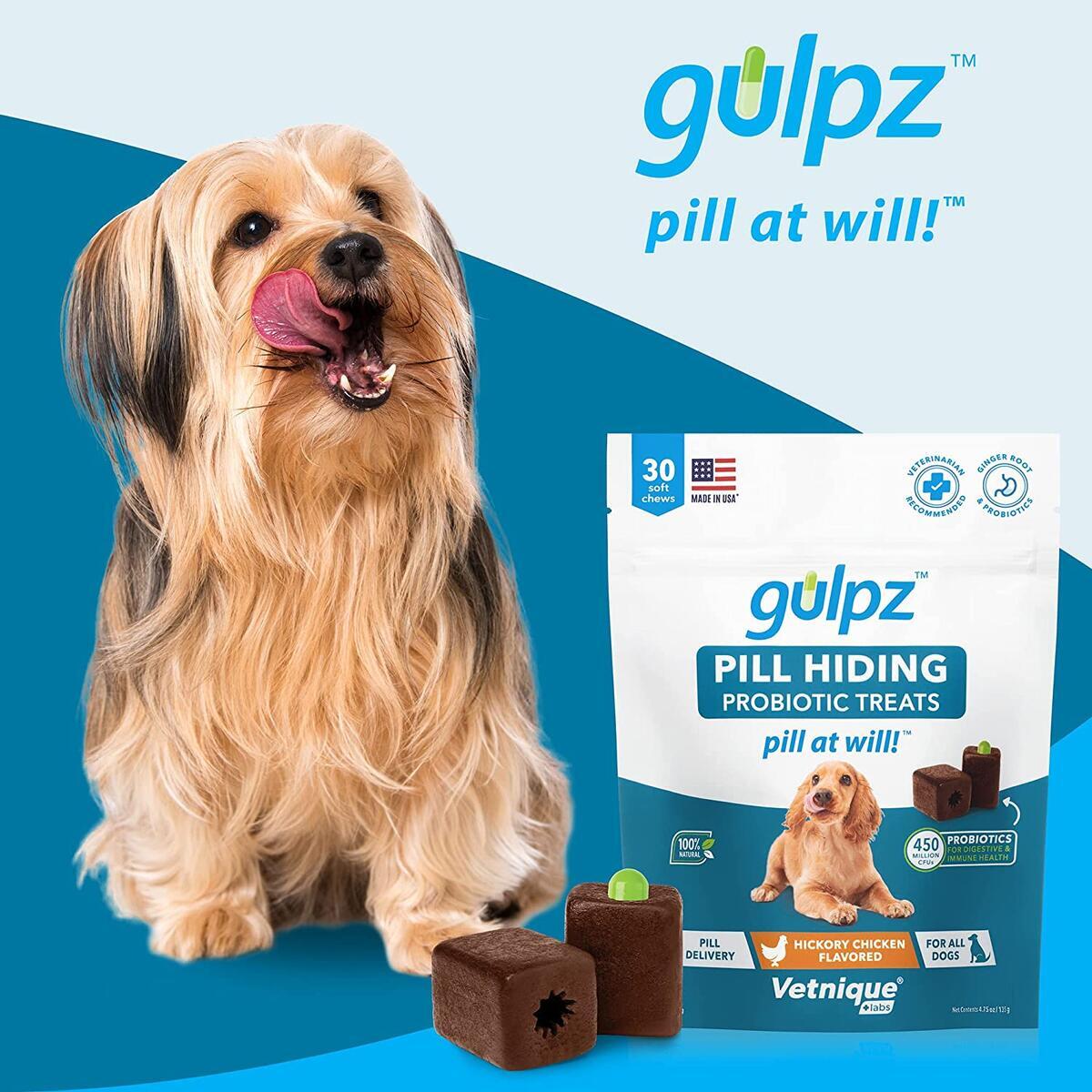 Gulpz Probiotic Pill Hiding Cash Back - RebateKey