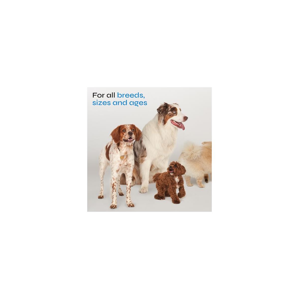 Dog Probiotic Chews 1 Cashback Rebates - RebateKey