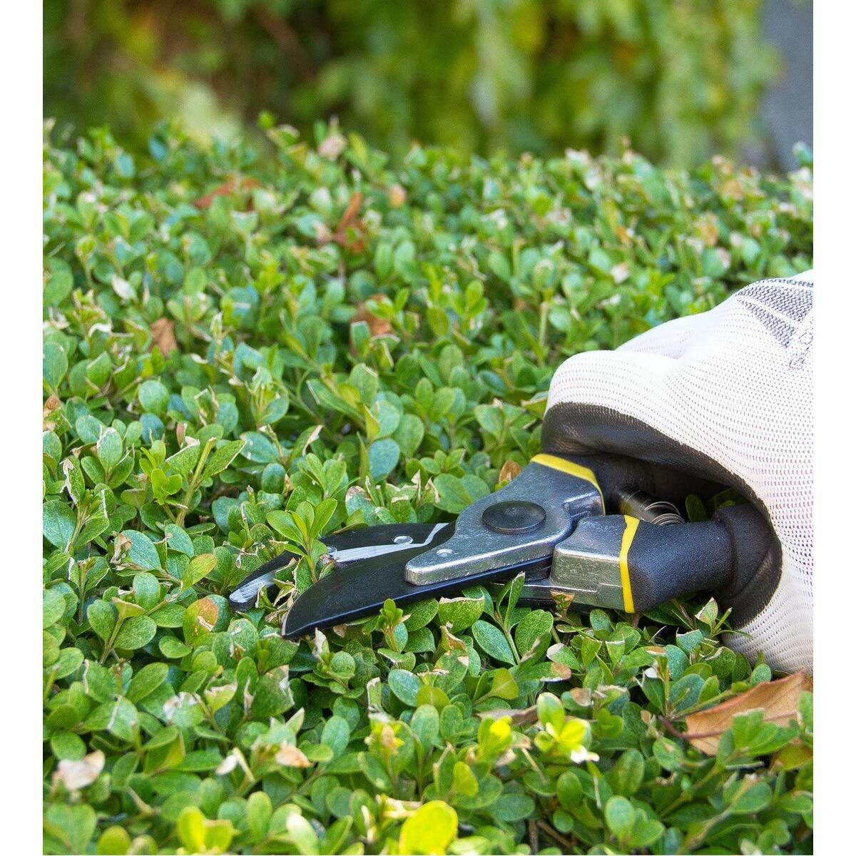 Bypass Pruning Shears Cashback - RebateKey