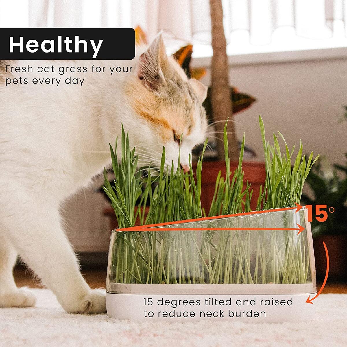 Cat Bowls With Cat Grass Rebates - RebateKey