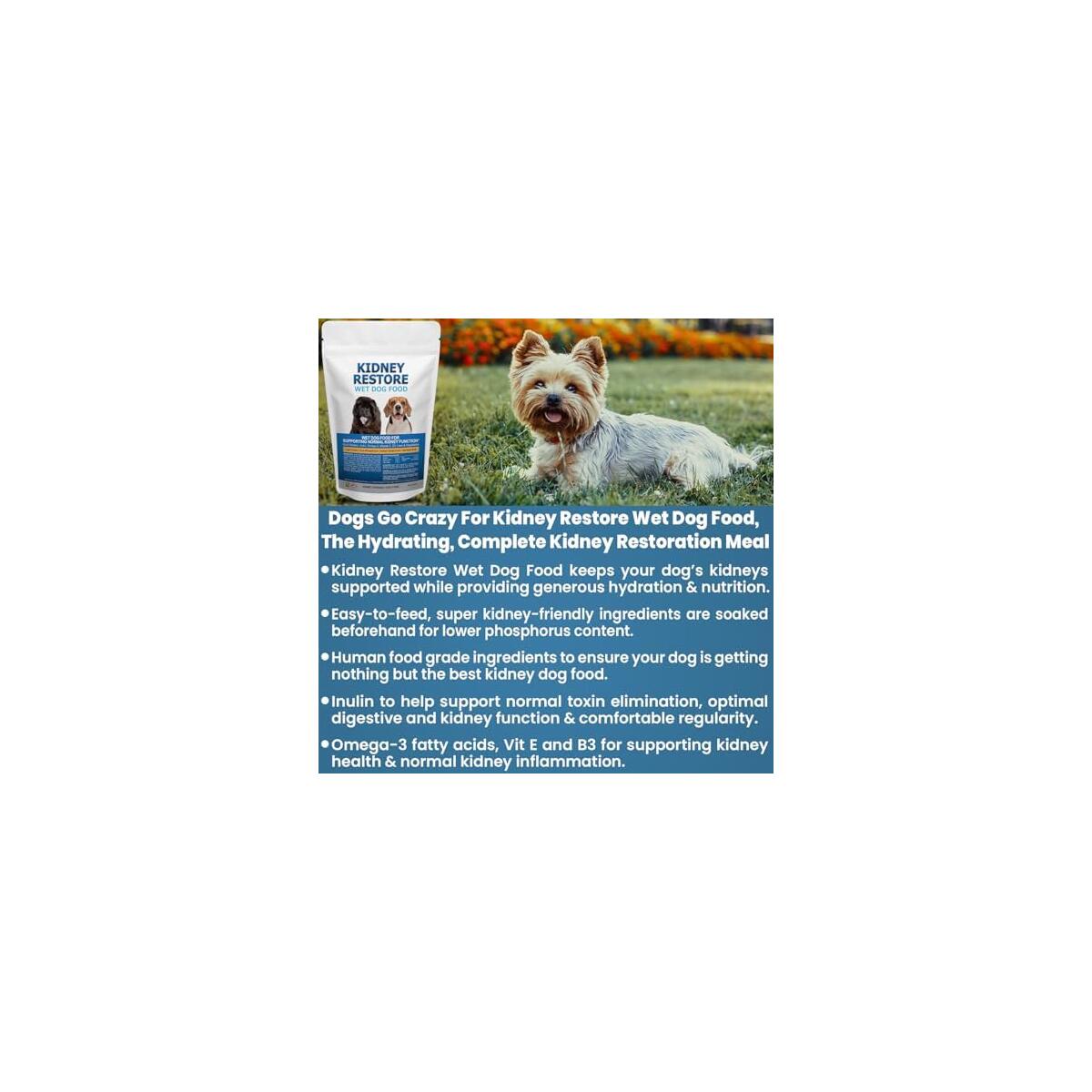 Kidney Care Dog Cashback - RebateKey