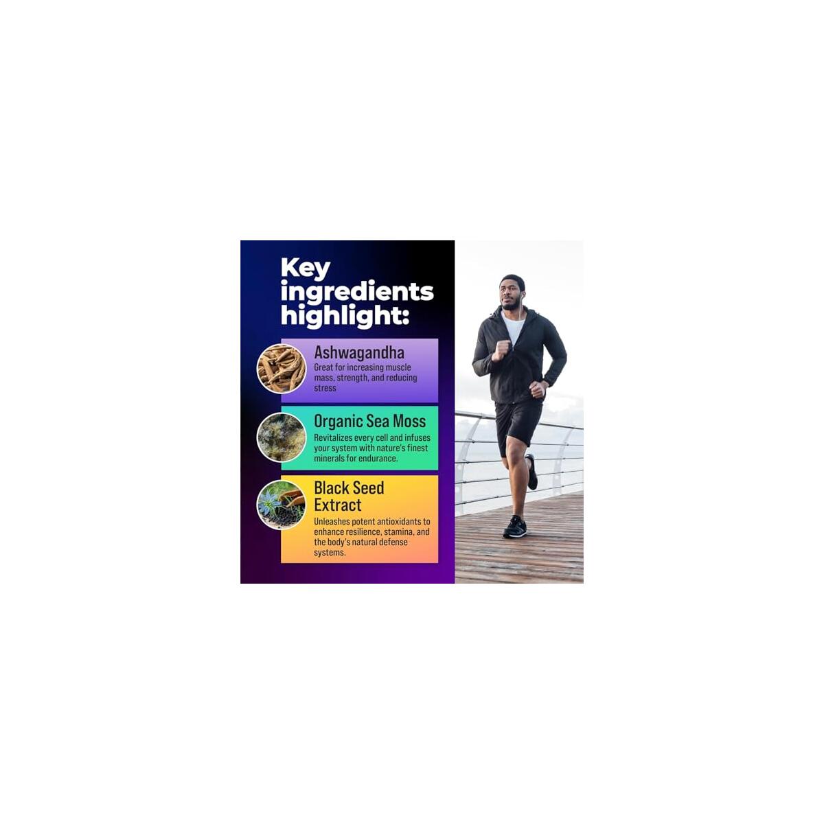 Multivitamin For Men With Seamoss Black Seed Oil 1 Cashback - RebateKey
