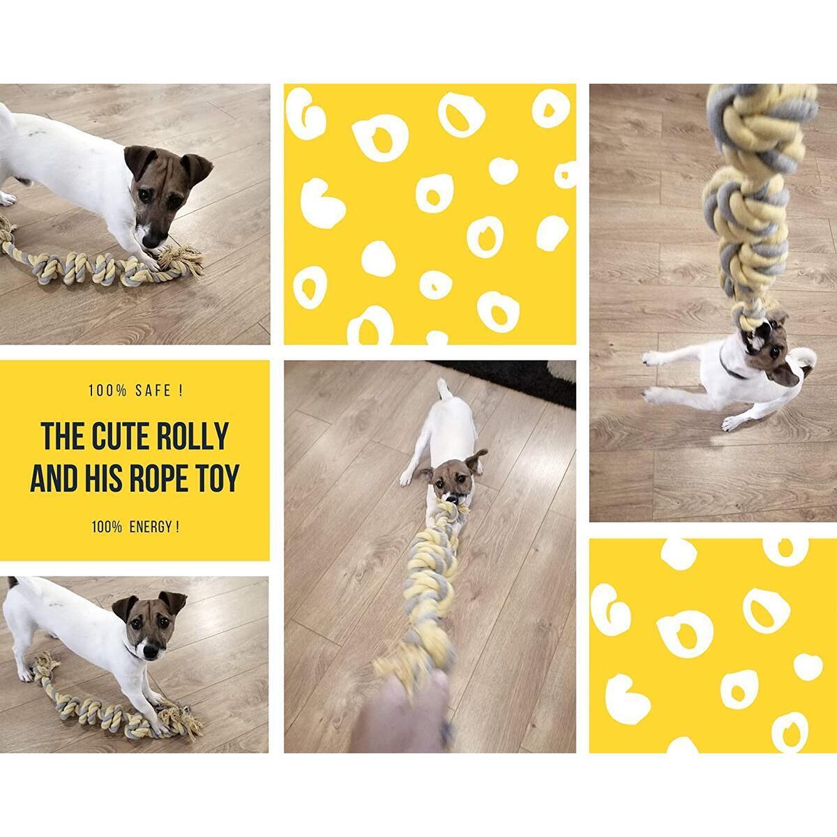 Interactive Dog Toys Cashback Rebates - RebateKey