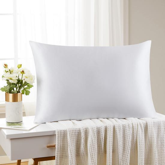 Silk Pillowcase (Queen 20