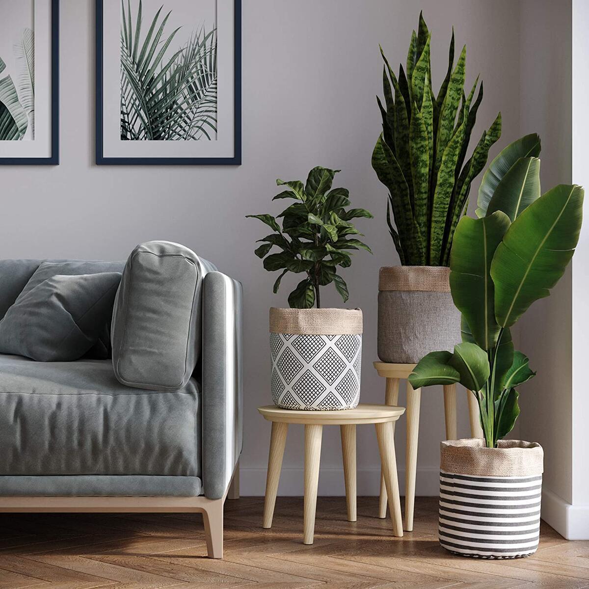 Plant Basket 6 Rebates - RebateKey