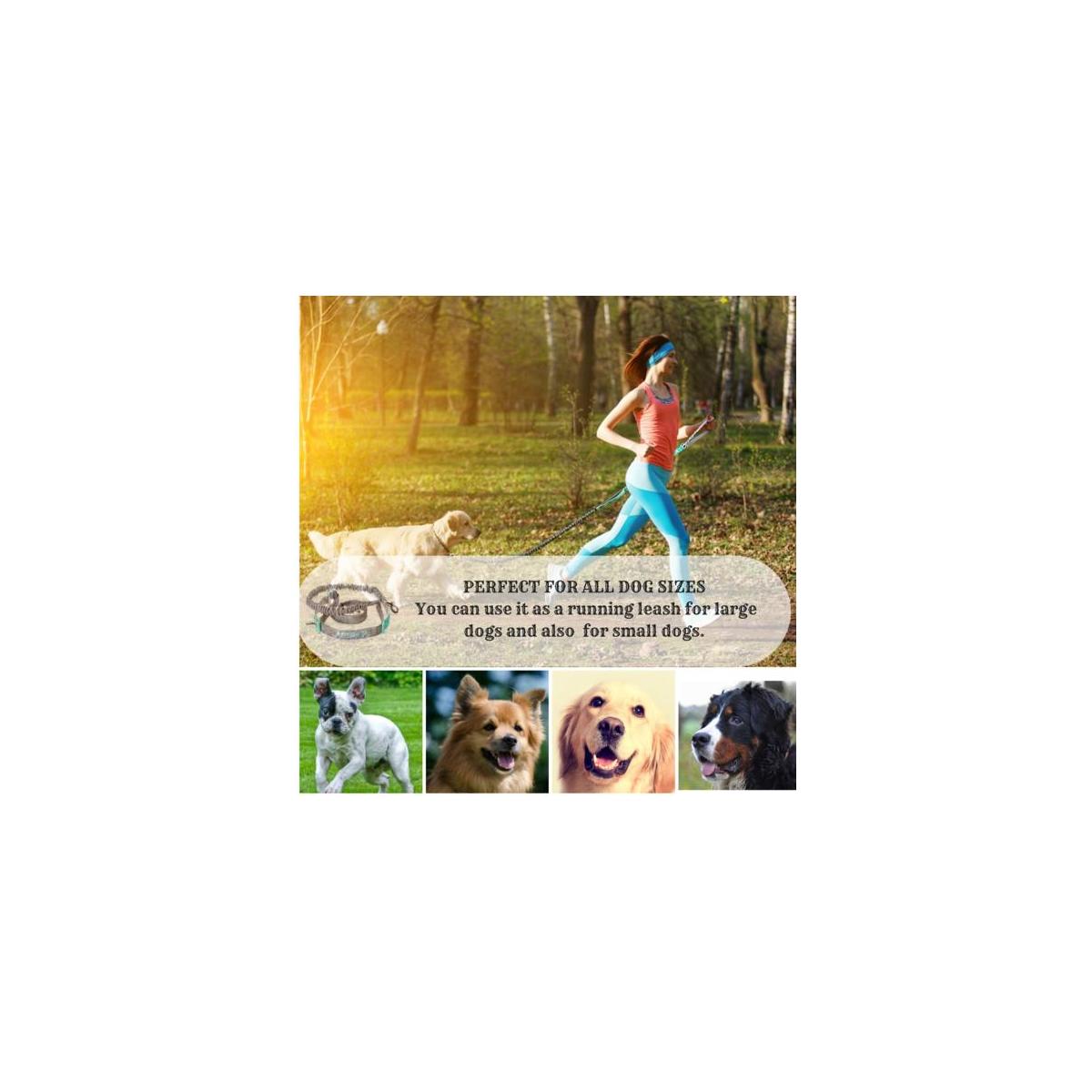 Hands Free Dog Leash5 Cashback - RebateKey