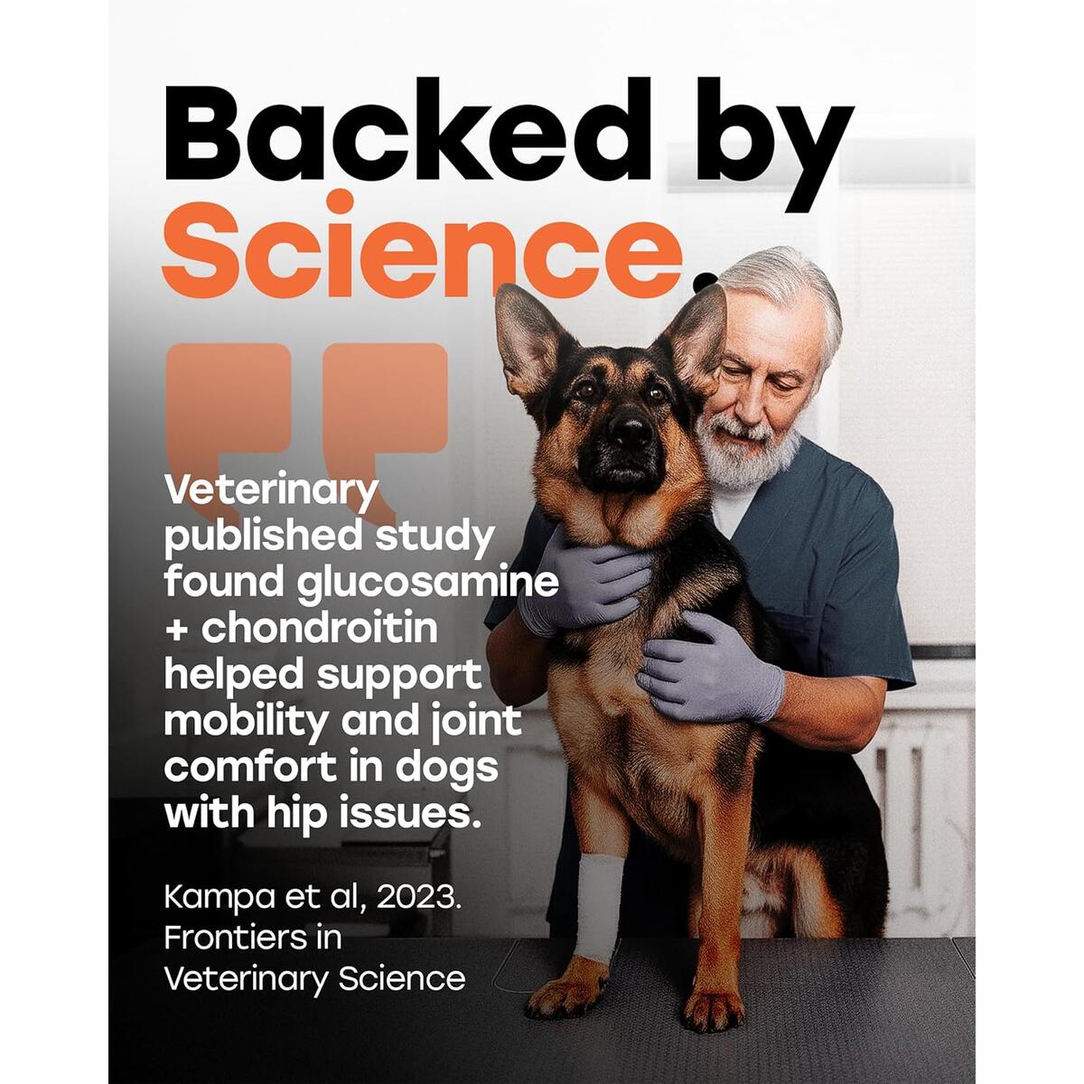 Glucosamine For Dogs 96 Rebates - RebateKey