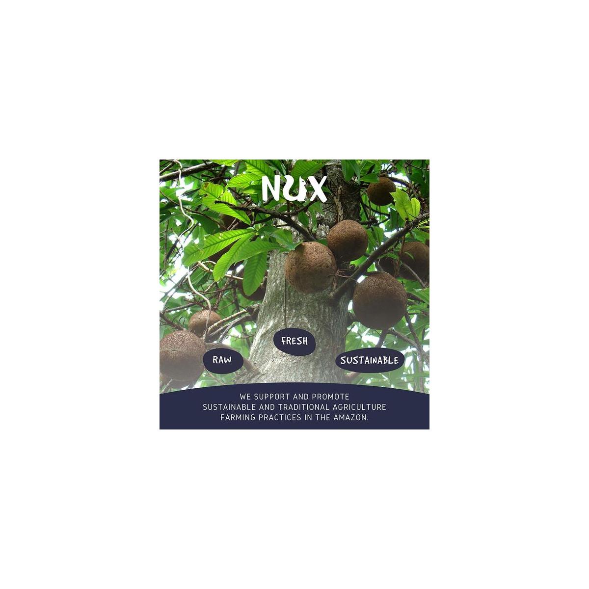 NUX Raw Organic Brazil Nuts 1 Pound (16 Oz) Amazonian Superfood Non