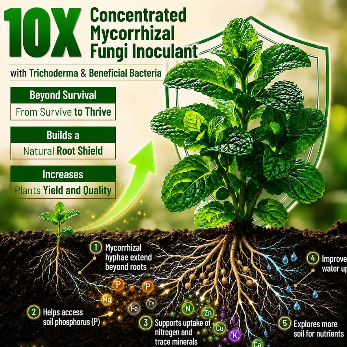 Organic Plant Food Indoor Cashback - RebateKey