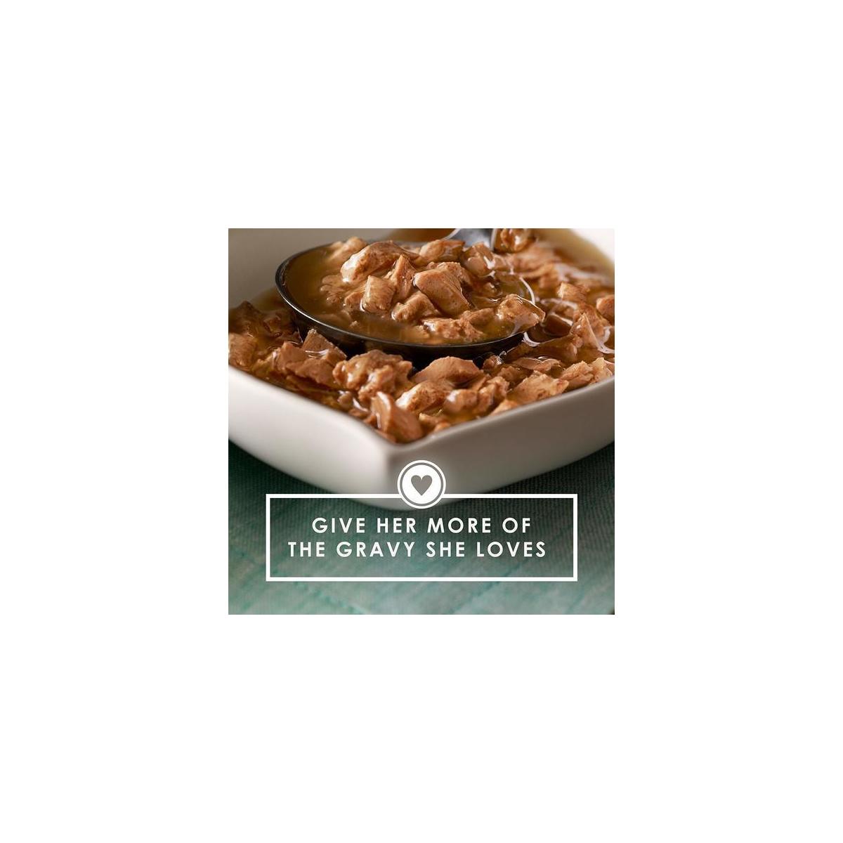 Purina Fancy Feast Gravy Wet Cat Food Variety Pack; Gravy Lovers