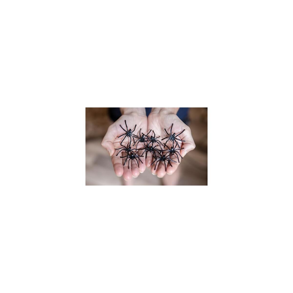 Spider Web 200 Square Feet Cashback Rebates - RebateKey