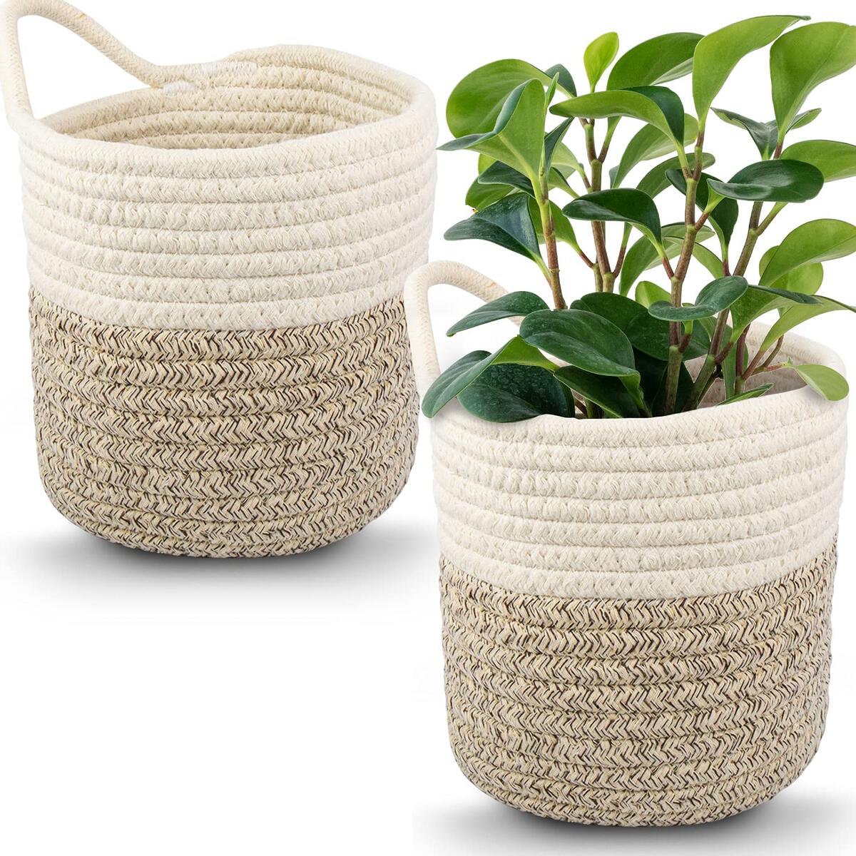 Hanging Woven Wall Basket Cashback Rebates RebateKey