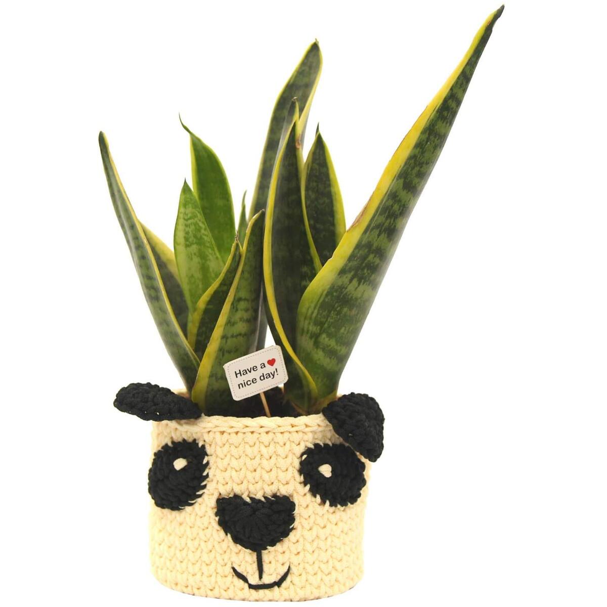 animal baskets for nursery