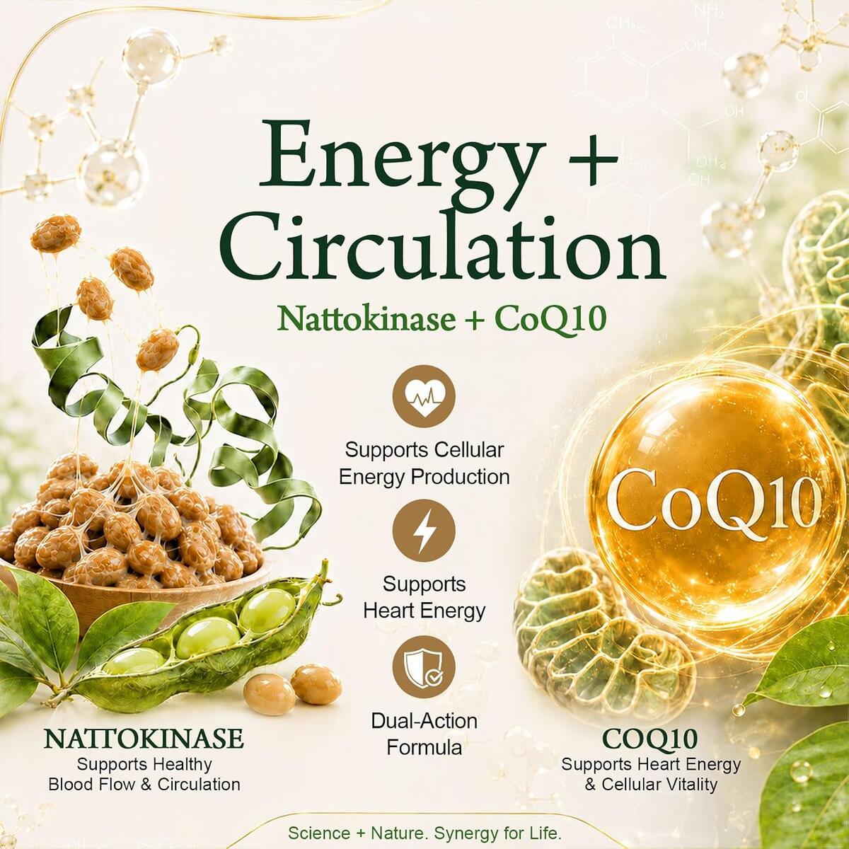 Nattokinase 1 Rebates - RebateKey