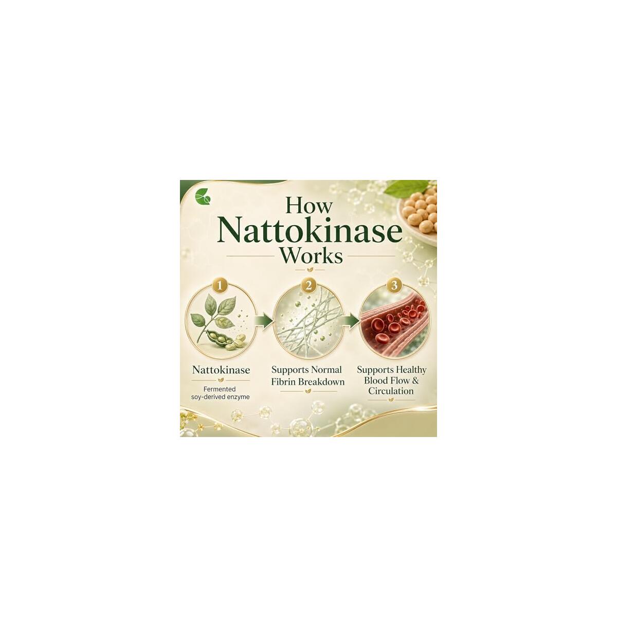 Nattokinase Supplement Nattokinase Fu Cashback - RebateKey
