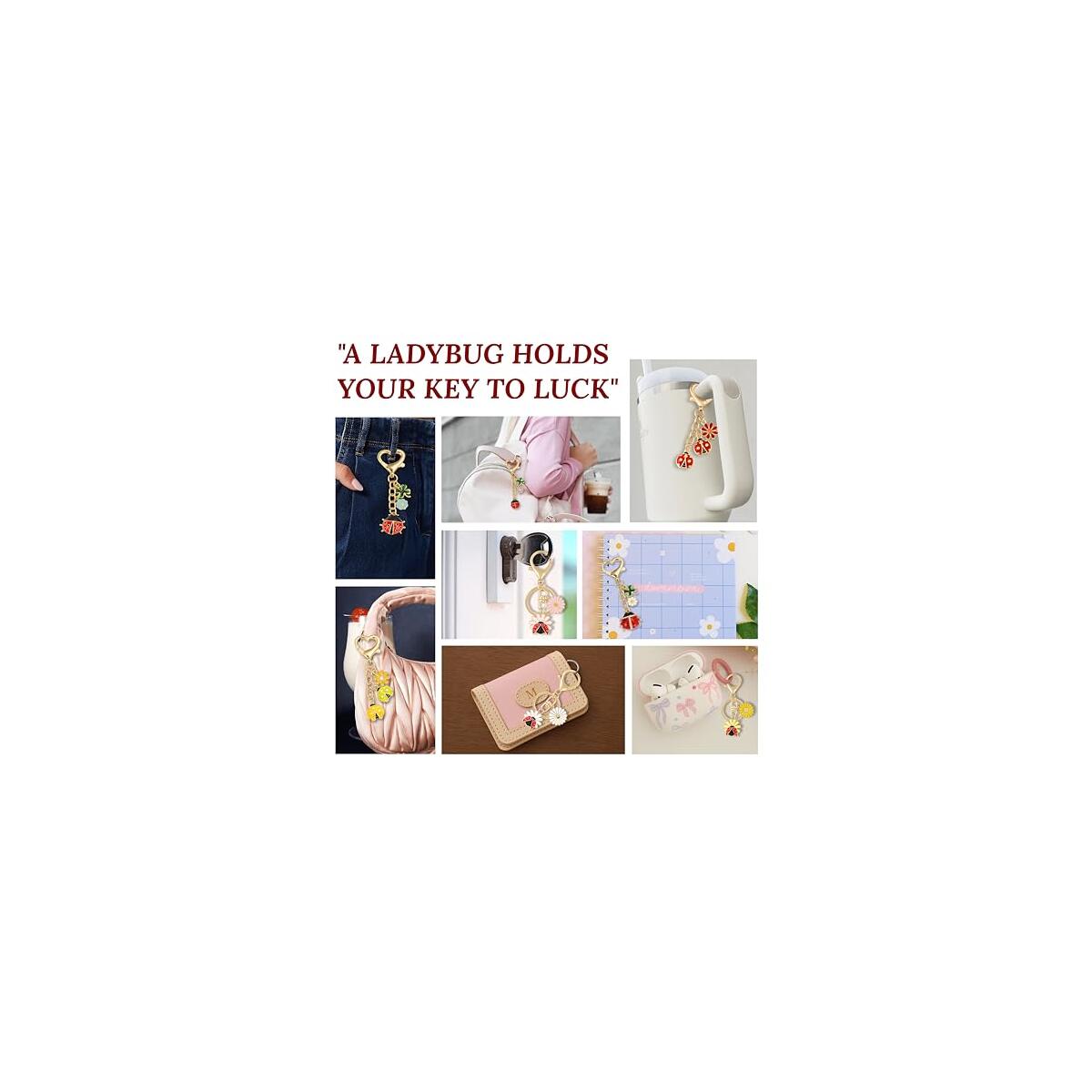 Ladybug Keychain Rebates - RebateKey