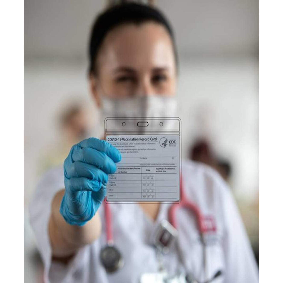 Accine Card Protector Cashback Rebates - RebateKey