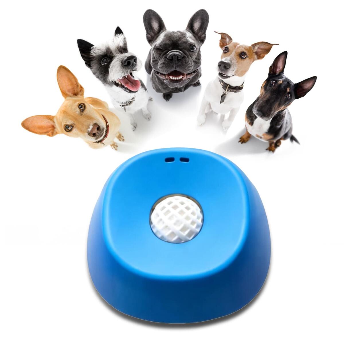 Dog Lick Bowl with Rolling Ball &mdash; Slow Feeder for Liquid Treats, Lick and Roll Bowl for Dogs, Bone Broth Yogurt Feeder, Post-Surgery Nutrition for Small and Medium Dogs