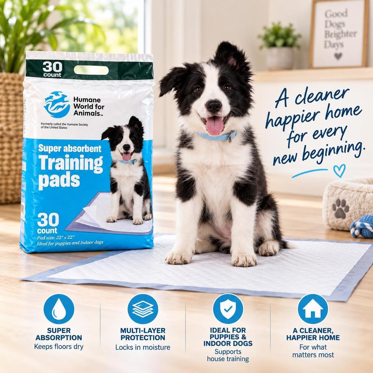 Pee Pads Cashback Rebate - RebateKey