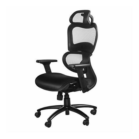 Duramont Ergonomic Office Chair With Lumbar Support High Back Executive Chair Rebate RebateKey