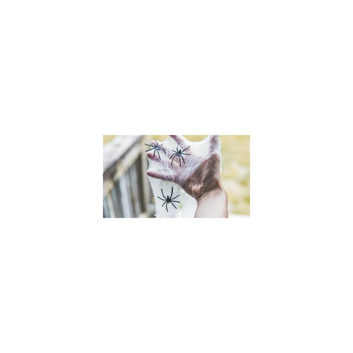 Spider Web 200 Square Feet Cashback Rebates - RebateKey
