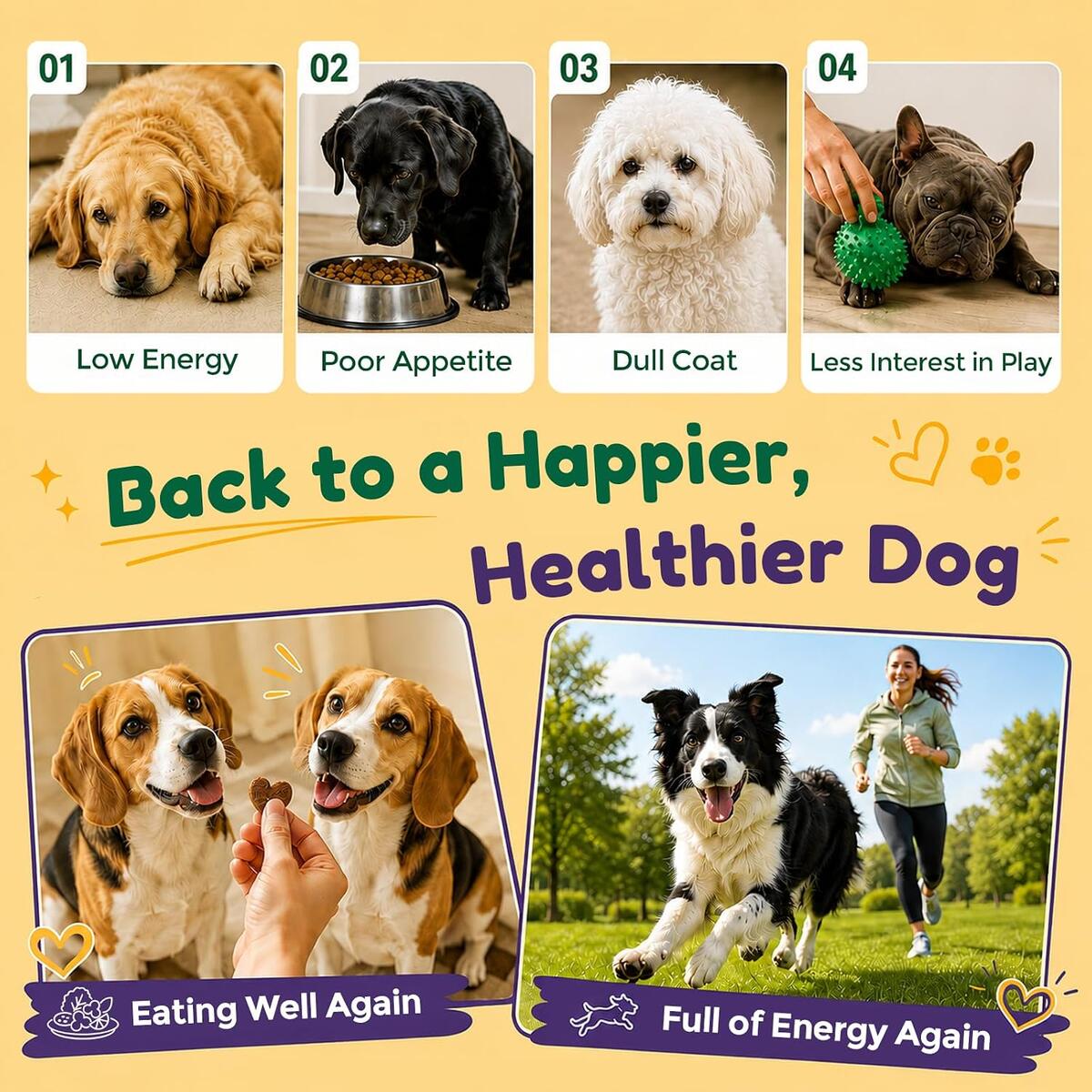 Dog Liver Supplement Cashback Rebate - RebateKey