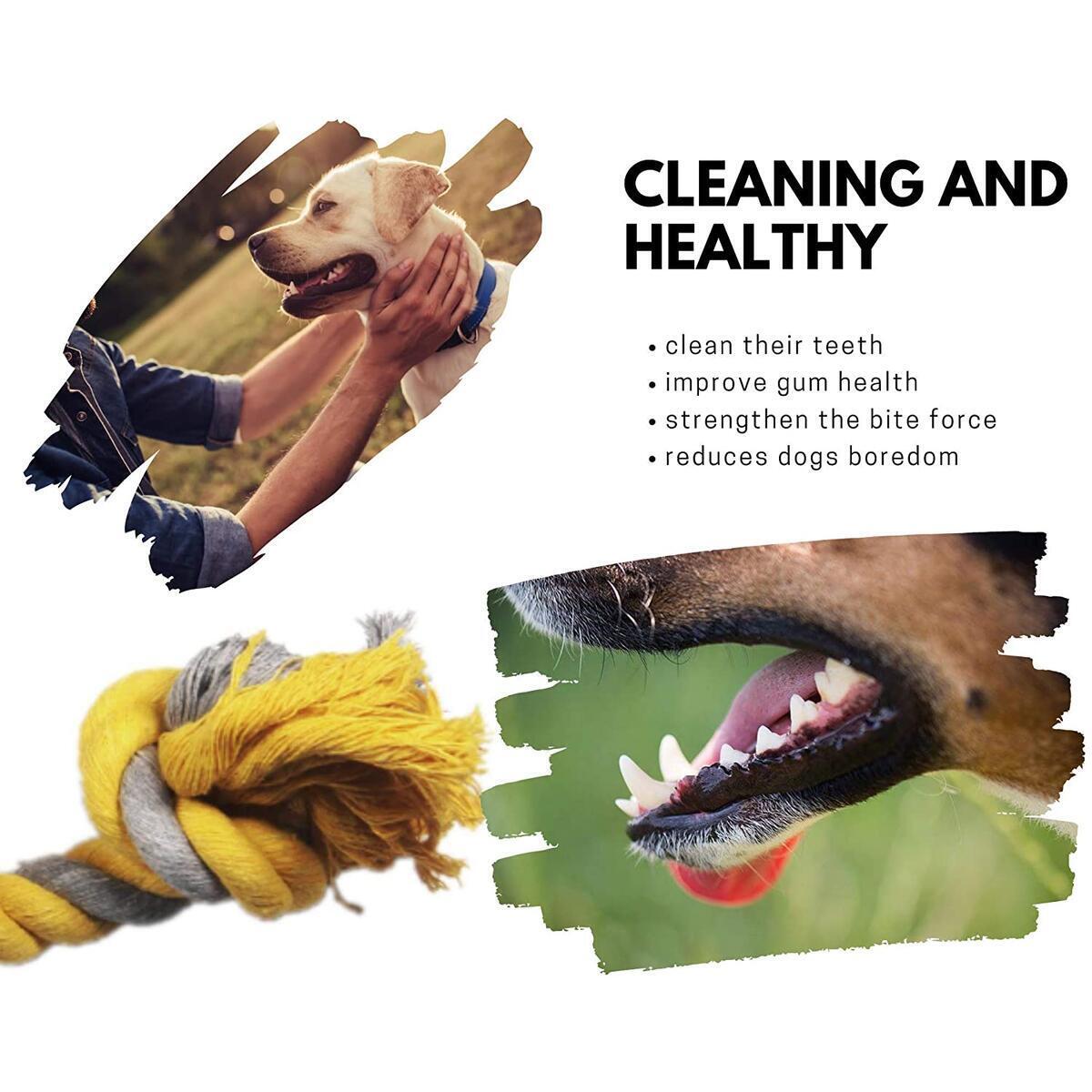 Interactive Dog Toys Cashback Rebates - RebateKey