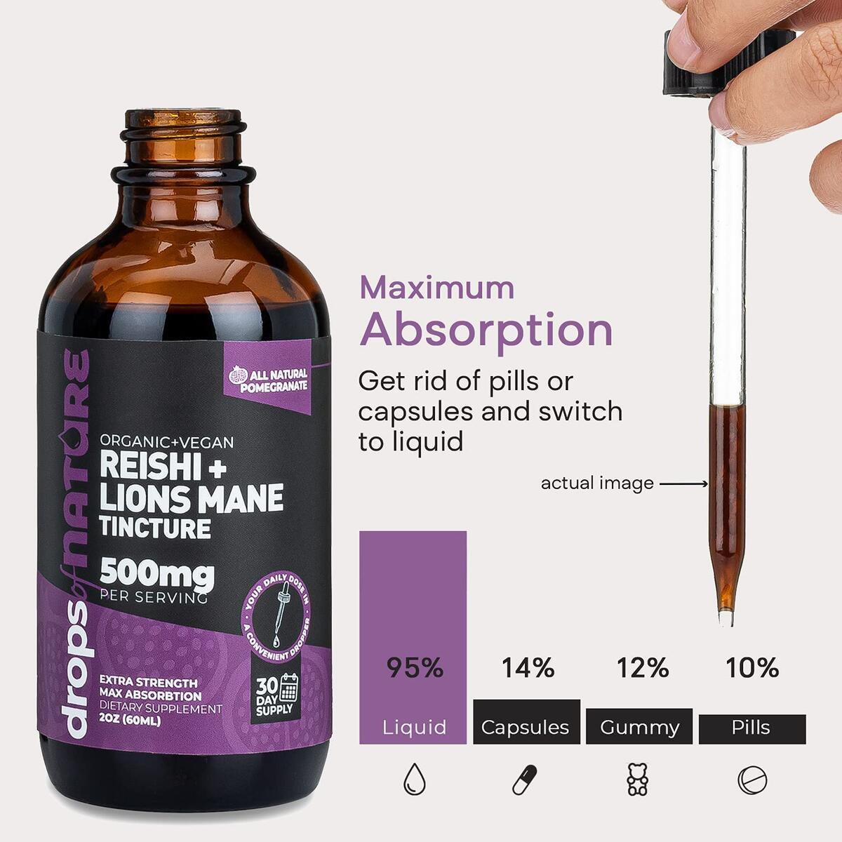 Reishi And Lions Mane Cash Back - RebateKey