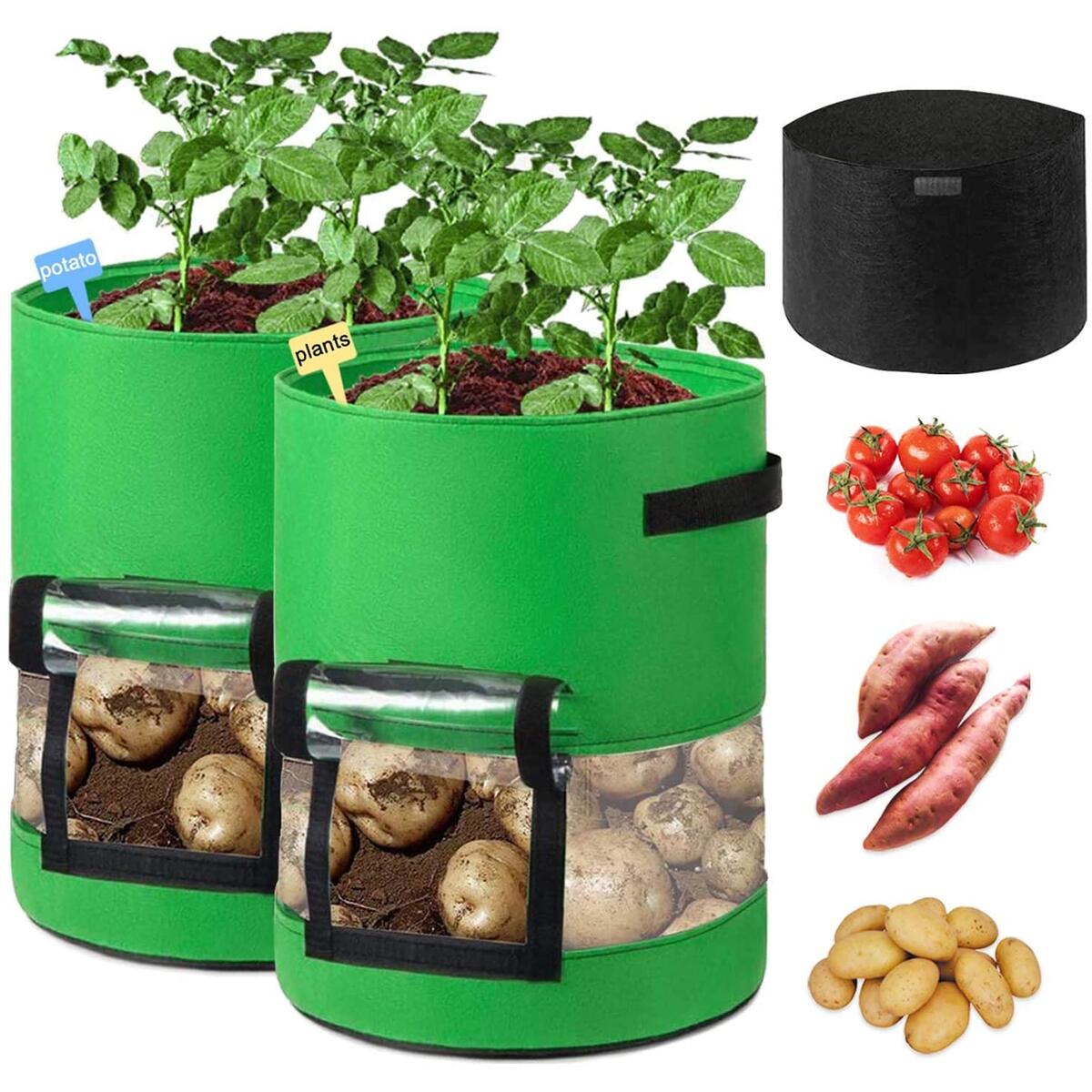 Plant Grow Bags Cash Back - RebateKey