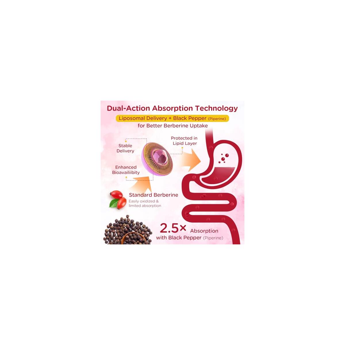 Berberine 15 Cashback Rebates - RebateKey