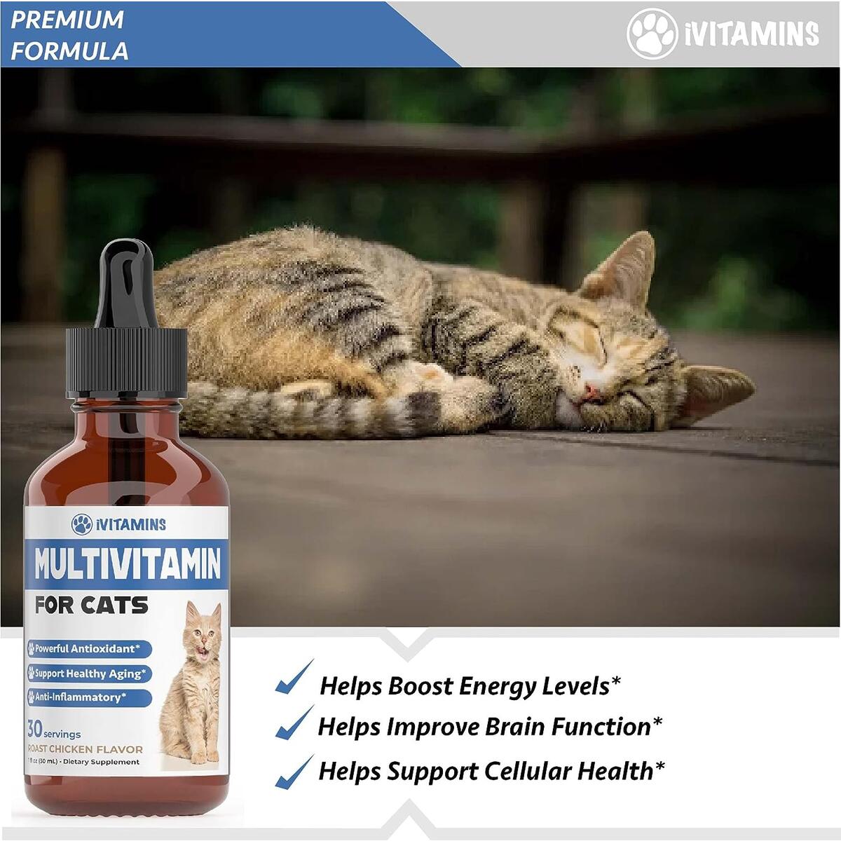 Cat Multivitamin For Joint Cashback Rebates - RebateKey