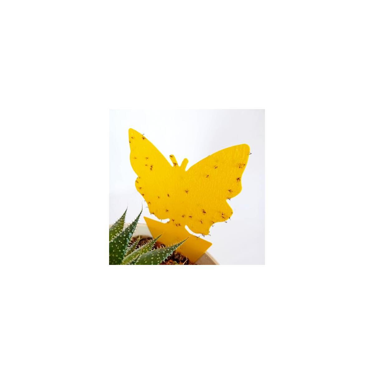 Sticky Insect Traps 40 Pcs Cash Back - RebateKey