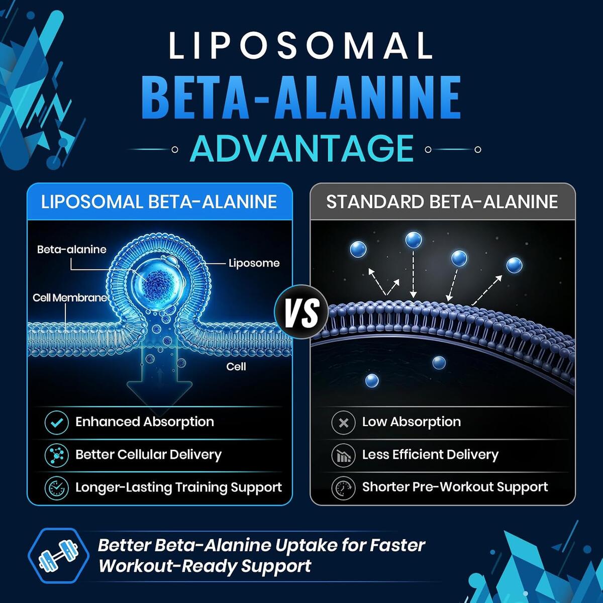 Liposomal Beta Alanine Capsules Rebate - RebateKey