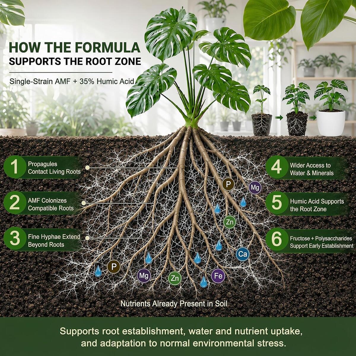 Organic Indoor Plant Food Rebates - RebateKey