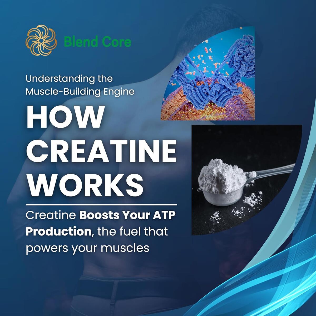 Creatine Monohydrate Powder Cashback Rebates - RebateKey