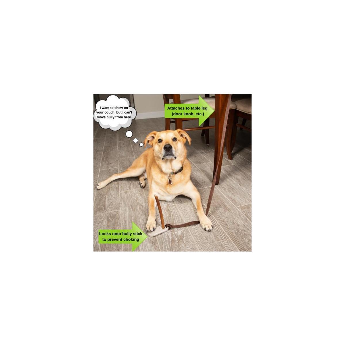 bully stick companion