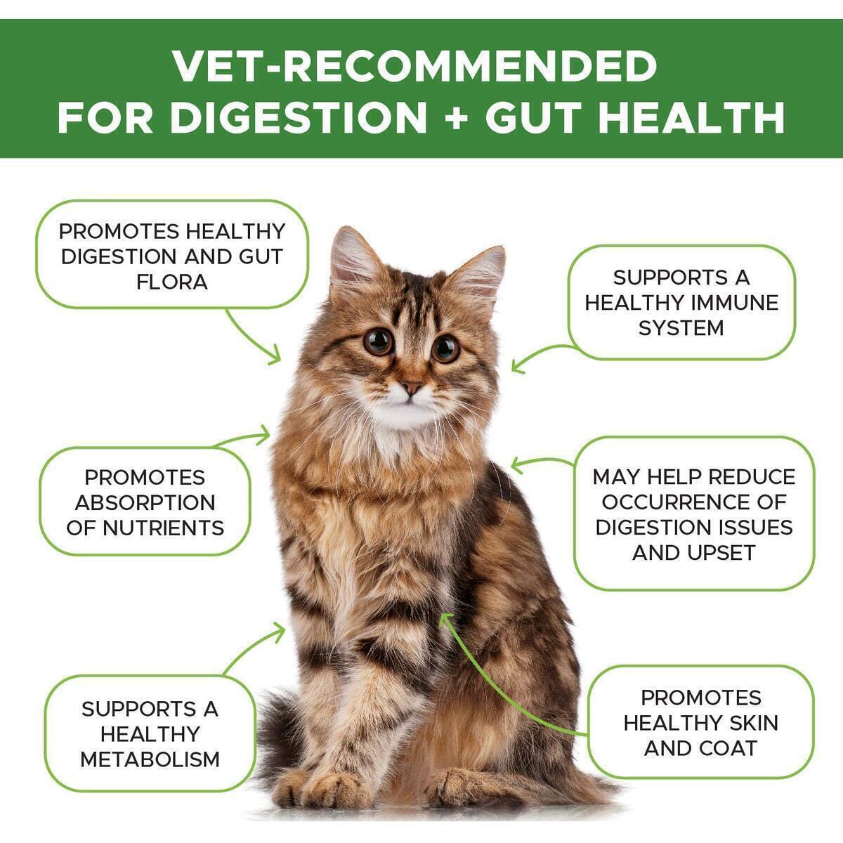 Cat Probiotic Rebate - RebateKey