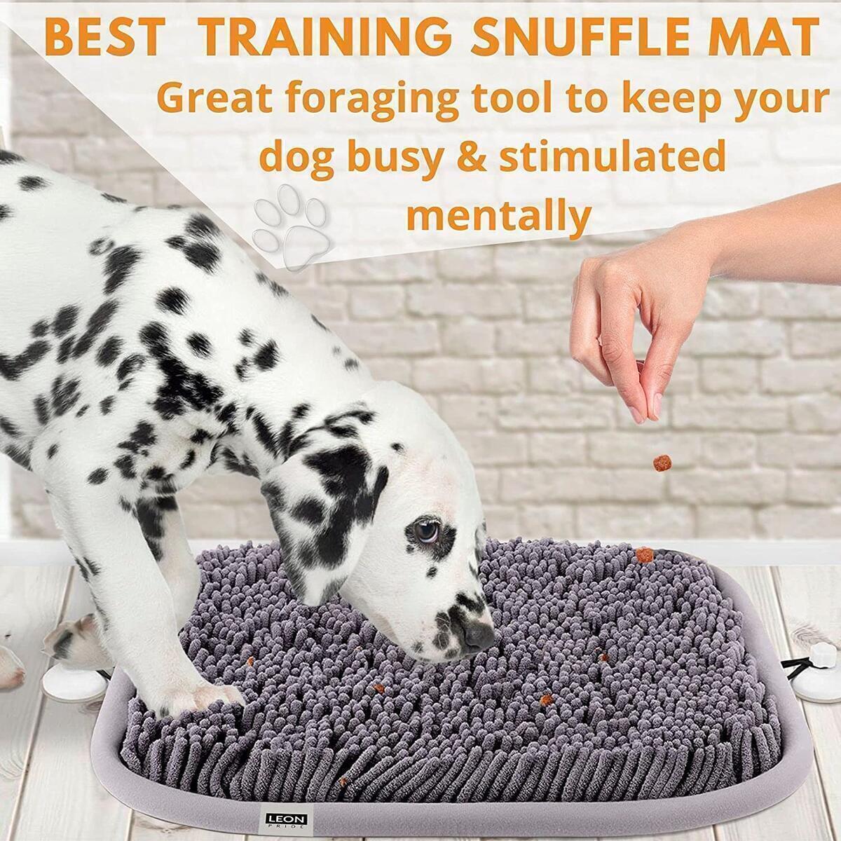 Pet Snuffle Mat For Dogs Rebates - RebateKey