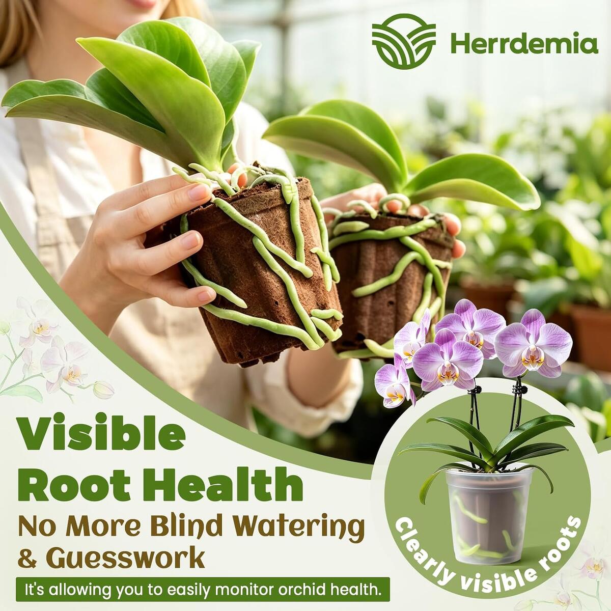 Orchid Potting Mix For Repotting Cashback - RebateKey