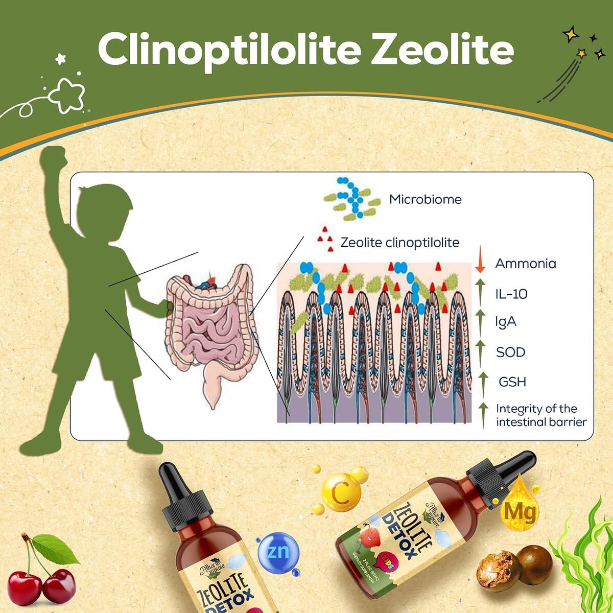 Zeolite Detox For Kids 1 Cashback Rebates - RebateKey